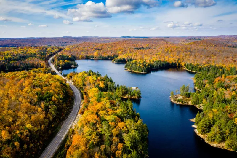 Traversez en voiture les sublimes forêts de l'Ontario au Canada.