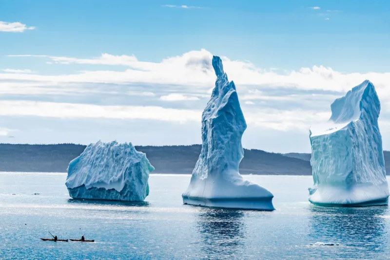 Admirez les icebergs monumentaux de Terre-Neuve lors d'un road trip inoubliable.