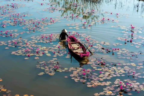 Le Vietnam